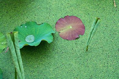 业界分析Switch 2未来宿命 对抗绝对领域手游平台